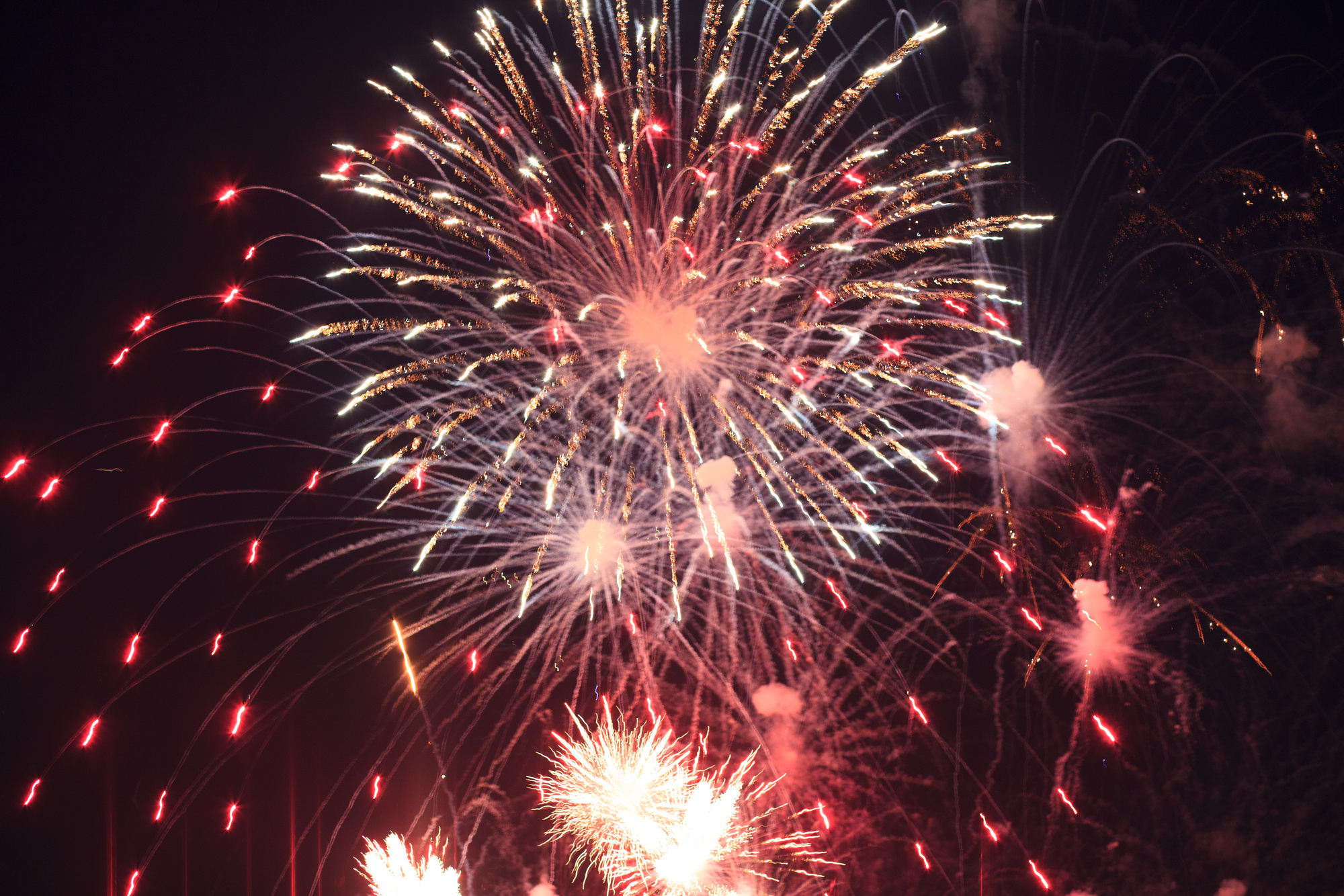 Beautiful fireworks in the night sky.